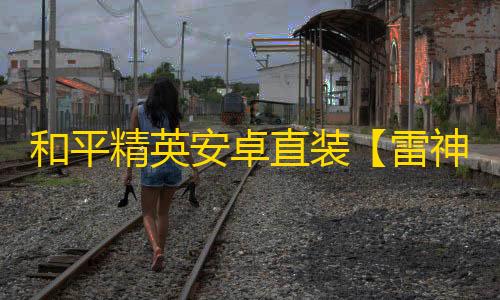 和平精英安卓直装【雷神原加菲猫直装】辅助